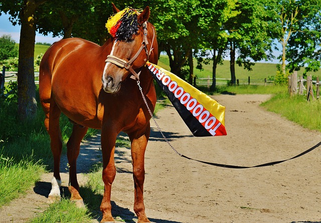 开激烈角逐 开激烈角逐