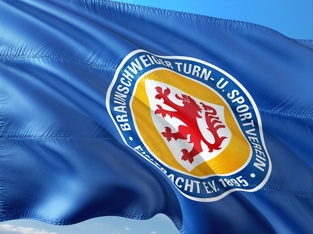 瞩目崛起 瞩目崛起