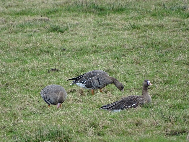 生活动态更 生活动态更