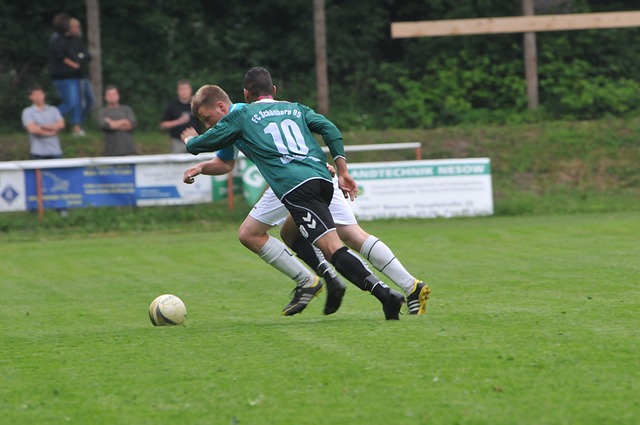 球场内的默 球场内的默