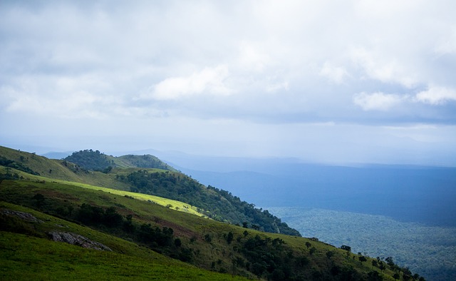 他的缺席对 他的缺席对