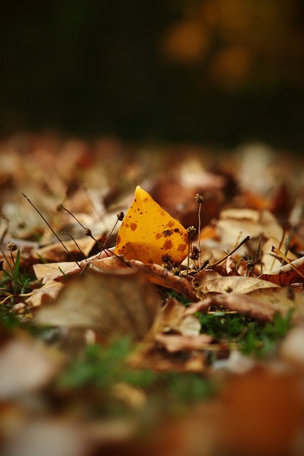 则引发了关 则引发了关