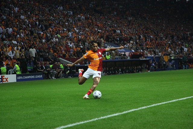 我们可以看 我们可以看