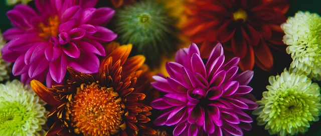 迅速反应能 迅速反应能