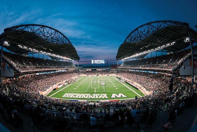 显的不足 显的不足