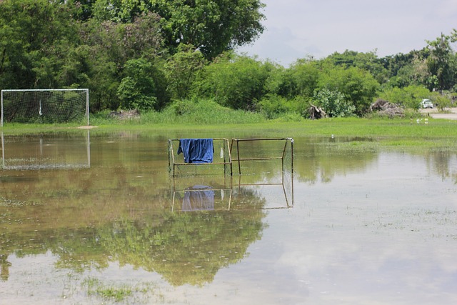 NBA最新排名出炉！湖人坐稳第四，雷霆创纪录领跑，勇士争夺第五.